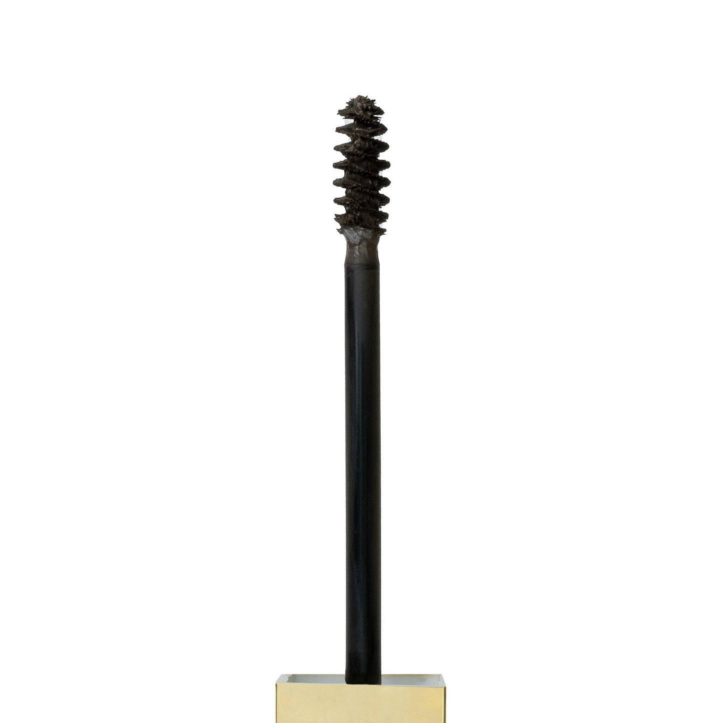 Tinted Multi-Peptide Brow Gel - Brow Code New Zealand