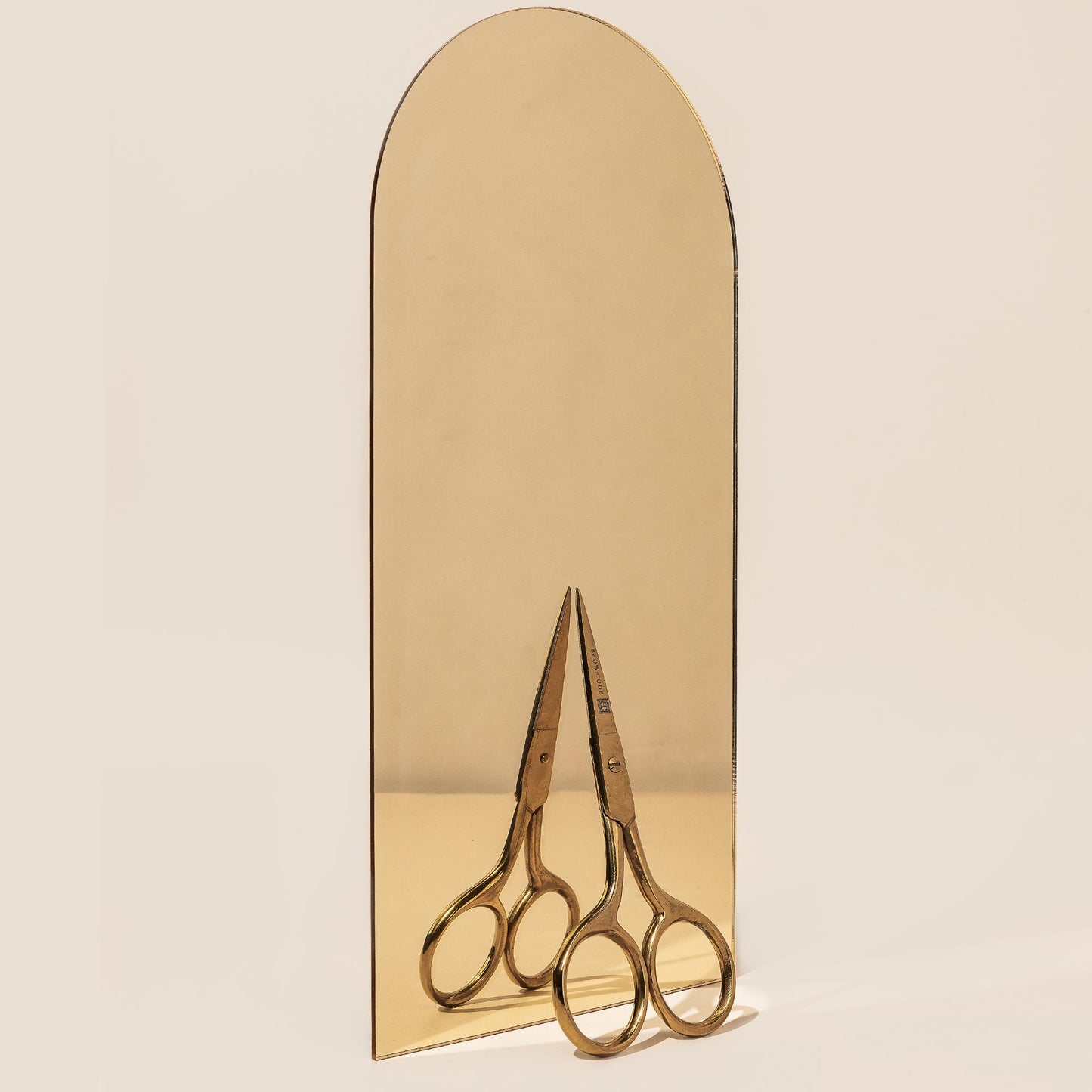Trimming Scissors